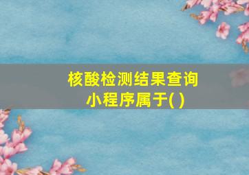 核酸检测结果查询小程序属于( )